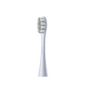 Oclean hambaharja otsikud Professional Clean 2tk - P1C9