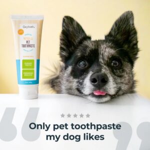 Oxyfresh lemmikloomade hambageel 113g